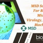 MSD Scientist Job For BSc Biology, Microbiology, Virology, Mol Bio or Biochem, Apply Online MSD Scientist Job