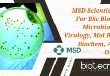 MSD Scientist Job For BSc Biology, Microbiology, Virology, Mol Bio or Biochem, Apply Online MSD Scientist Job