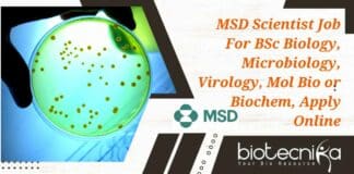 MSD Scientist Job