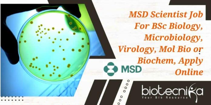 MSD Scientist Job