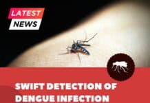 Mylab Launches Two Rapid Point-of-Care Tests for Detecting Dengue Infection Rapid point-of-care tests for Dengue