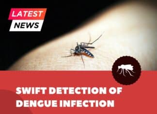 Rapid point-of-care tests for Dengue