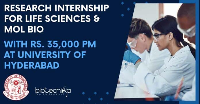 Research Internship For Life