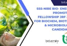 SSS-NIBE Bio- Energy Promotion Fellowship JRF Job For Biochem, Biotech & Microbiology Candidates SSS-NIBE Bio- Energy Promotion Fellowship