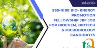 SSS-NIBE Bio- Energy Promotion Fellowship