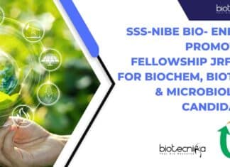 SSS-NIBE Bio- Energy Promotion Fellowship