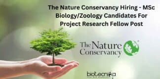 The Nature Conservancy