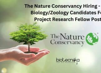 The Nature Conservancy