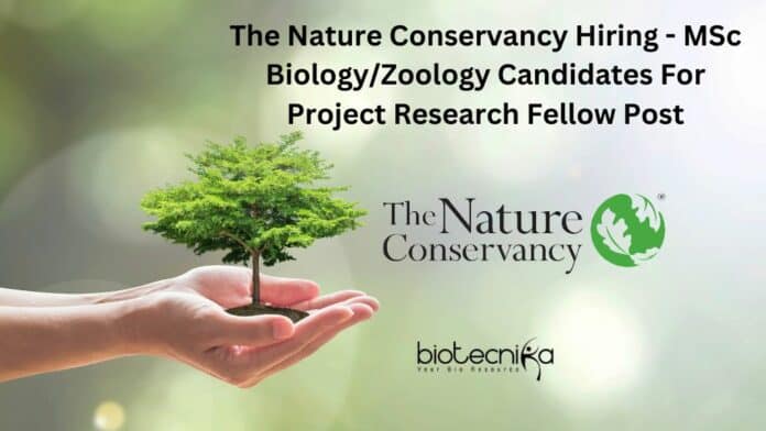 The Nature Conservancy