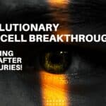 Stem Cell Breakthrough
