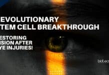 Stem Cell Breakthrough