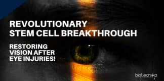 Stem Cell Breakthrough