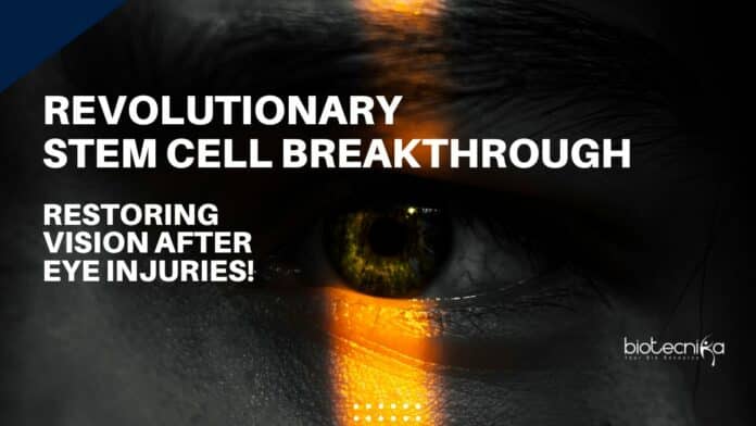 Stem Cell Breakthrough