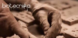DNA From Ancient Bricks - A 2,900-Year-Old DNA