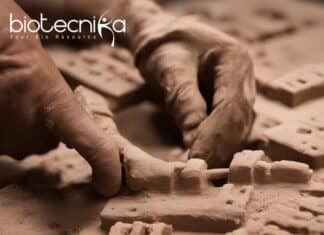 DNA From Ancient Bricks - A 2,900-Year-Old DNA