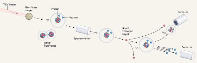 A diagram Oxygen's Shocking Transformation of the experiment. (Nature)