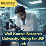Presidency University Job Opening