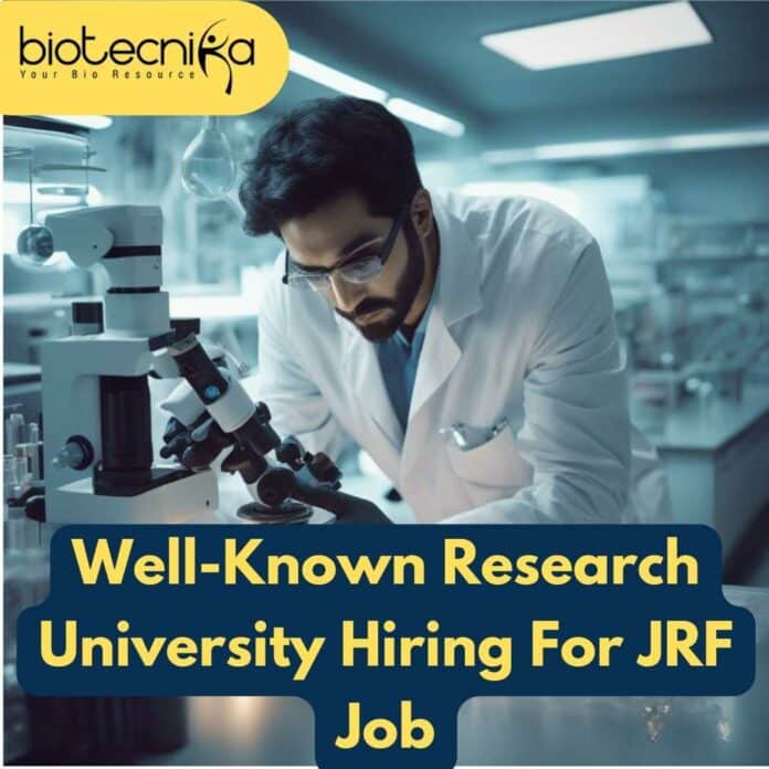 Presidency University Job Opening