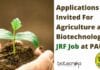 Applications Invited for JRF Position @ PAU – Latest BSc / MSc / Btech Jobs Junior Research Fellow At PAU
