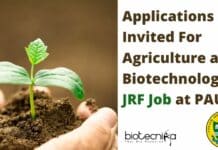 Applications Invited for JRF Position @ PAU – Latest BSc / MSc / Btech Jobs Junior Research Fellow At PAU
