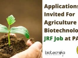 Junior Research Fellow At PAU