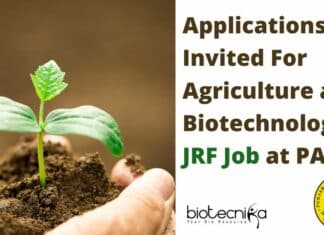 Junior Research Fellow At PAU