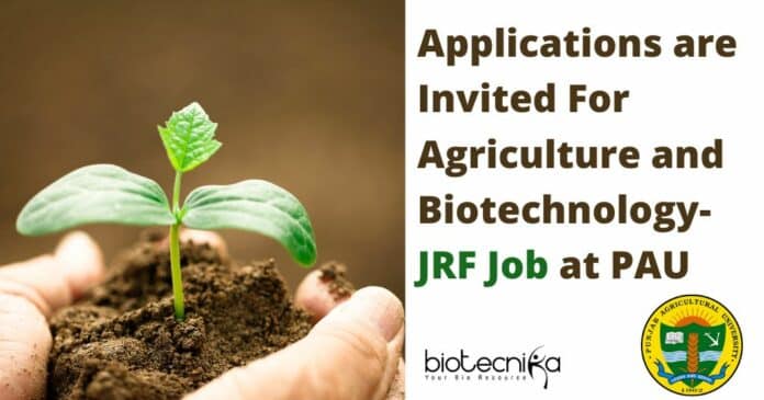 Junior Research Fellow At PAU