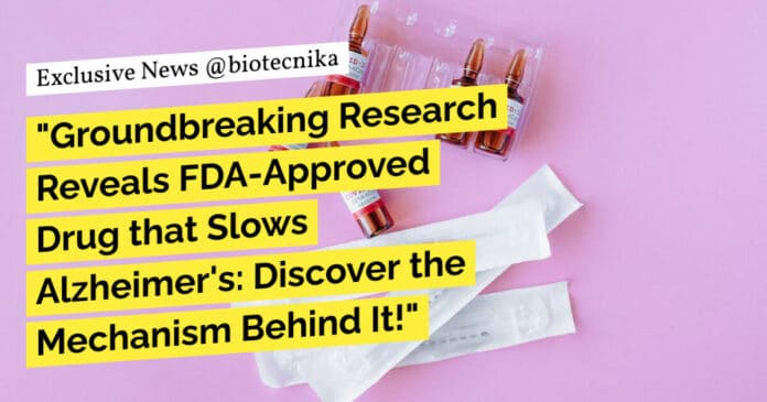 "Groundbreaking Research Reveals FDA-Approved Drug that Slows Alzheimer's: Discover the Mechanism Behind It!"