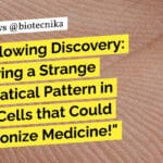 Mathematical Pattern Human Body - Strange Discovery