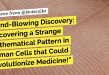Mind-Blowing Discovery: Uncovering a Strange Mathematical Pattern in Human Cells that Could Revolutionize Medicine! Mathematical Pattern Human Body - Strange Discovery