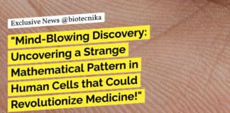 Mathematical Pattern Human Body - Strange Discovery