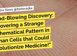 Mathematical Pattern Human Body - Strange Discovery
