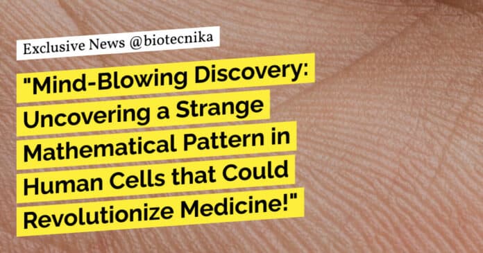 Mathematical Pattern Human Body - Strange Discovery Mathematical Pattern Human Body - Strange Discovery