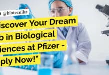 Discover Your Dream Job in Biological Sciences at Pfizer – Apply Now! Biological Sciences Associate at Pfizer