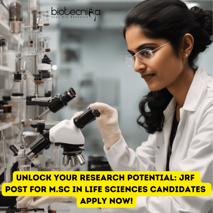 JRF and TA position at JNU