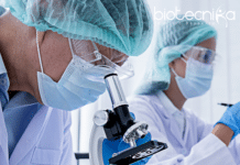 IISER Tirupati MSc Biology Project Associate Job – Applications Invited Project Associate at IISER