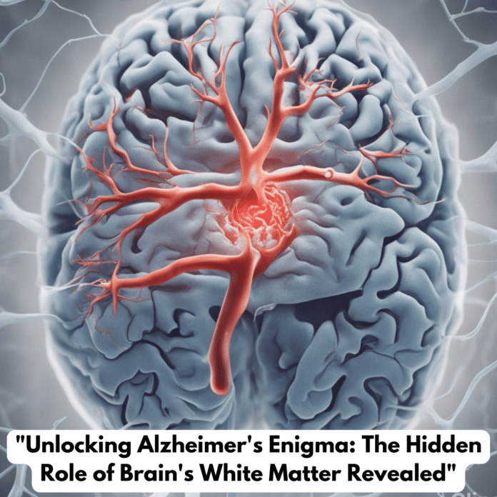 Alzheimer's Enigma