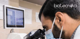 Research Associate