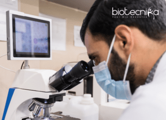 Research Associate