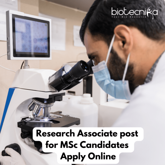 Research Associate