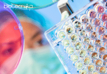 Syngene MSc Microbiology/ Biotechnology Executive Role – Apply Online Syngene MSc Microbiology/ Biotechnology Executive Role - Apply Online