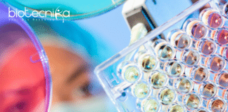 Syngene MSc Microbiology/ Biotechnology Executive Role - Apply Online