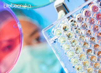 Syngene MSc Microbiology/ Biotechnology Executive Role - Apply Online