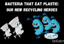 Bacteria That Eat Plastic