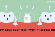 Grow Back Lost Teeth