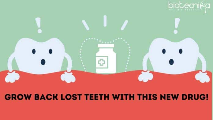 Grow Back Lost Teeth