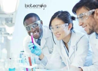BIRAC Consultant Job Openings