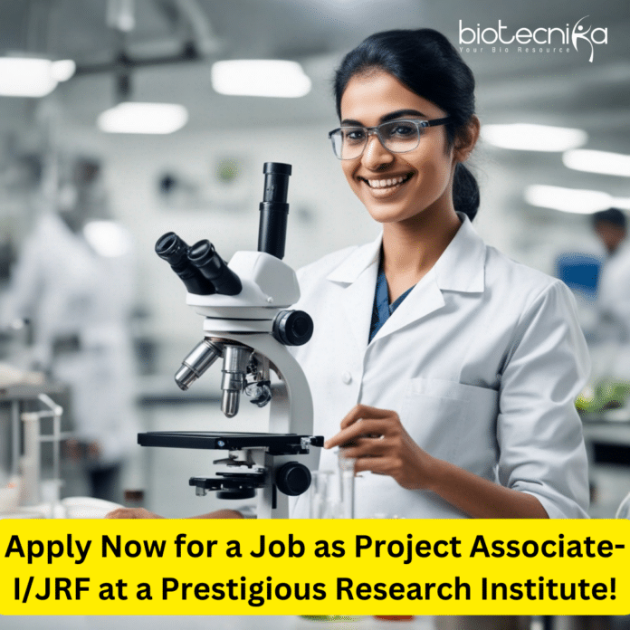 DY Patil Pune JRF Jobs