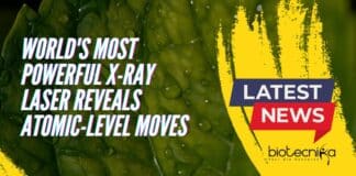 World's Most Powerful X-ray Laser