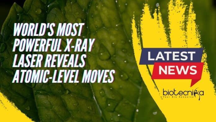 World's Most Powerful X-ray Laser